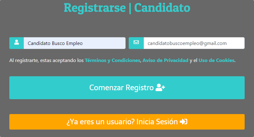 Ingreso de Nombre y Correo del Candidato