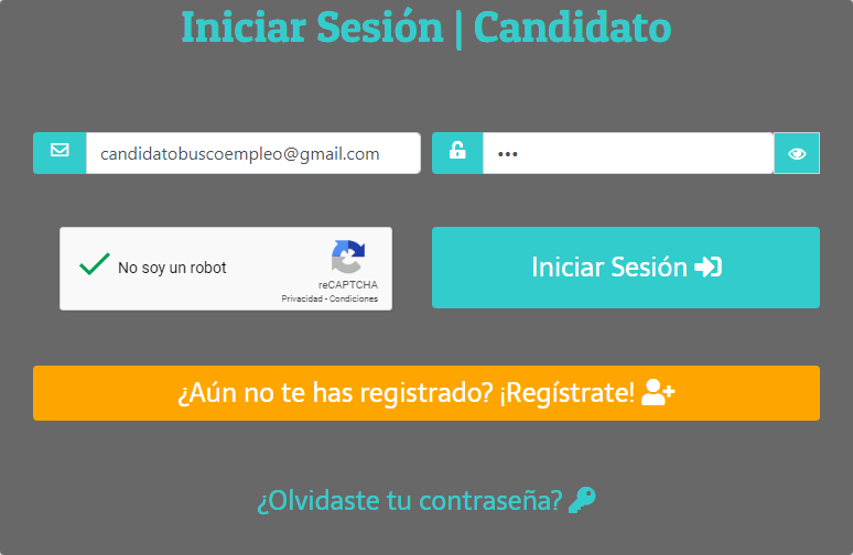 Ingreso de Nombre y Correo en Iniciar Sesión de Candidato.